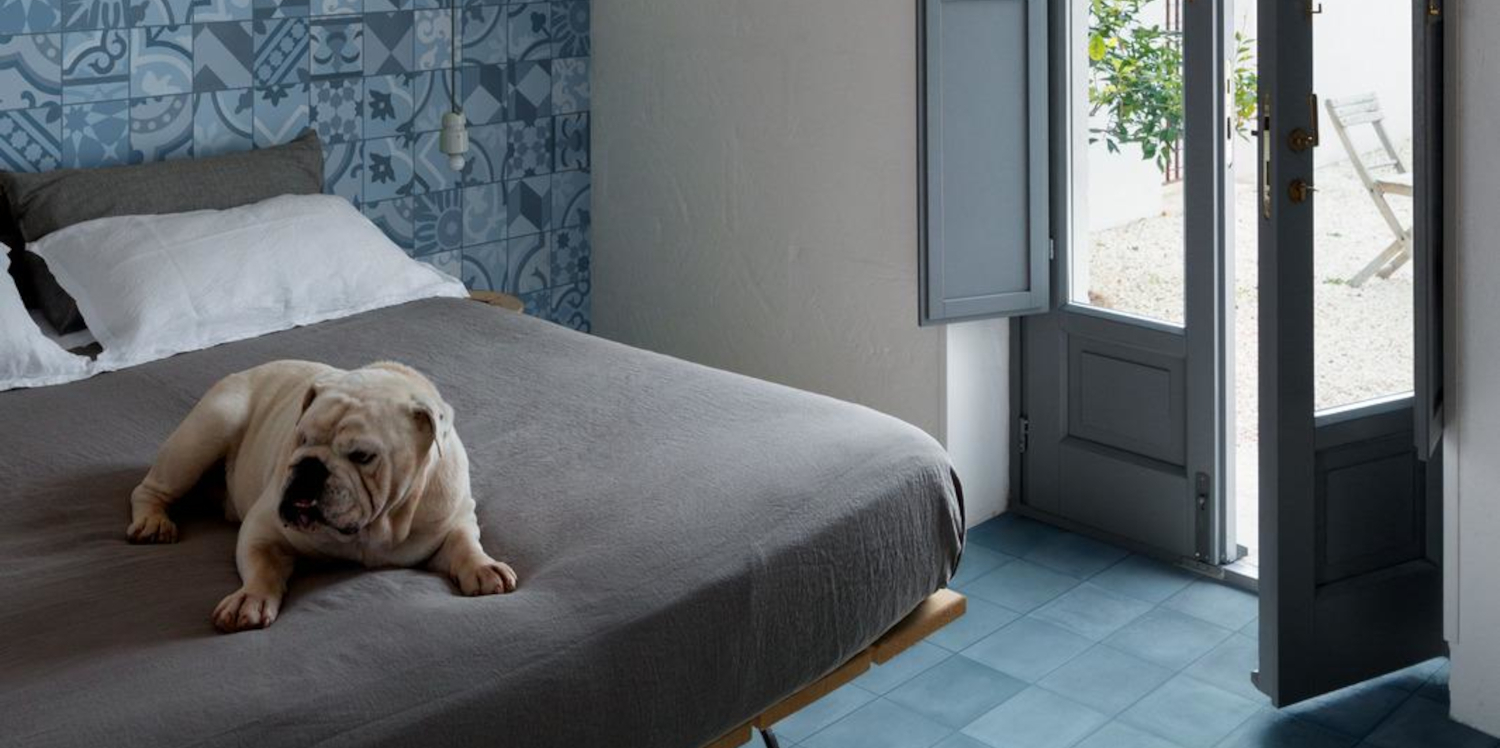 D SEGNI BLEND DECORO MIX AZZURRO 20X20